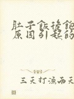 肚子饭后饱胀是原因引起的