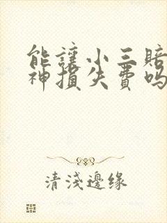 能让小三赔偿精神损失费吗