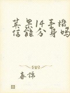 苹果14手机微信能分身吗