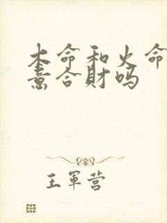 木命和火命做生意合财吗