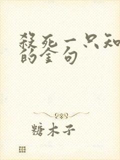 杀死一只知更鸟的金句