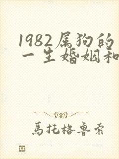 1982属狗的一生婚姻和命运