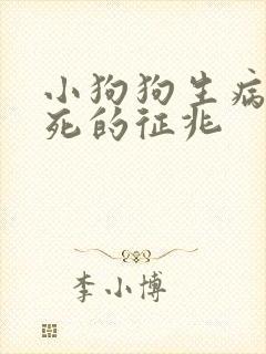 小狗狗生病了快死的征兆