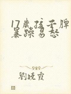 17岁孩子脾气暴躁易怒