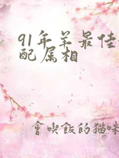 91年羊最佳婚配属相