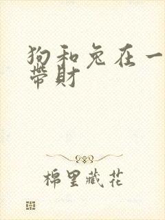 狗和兔在一起谁带财