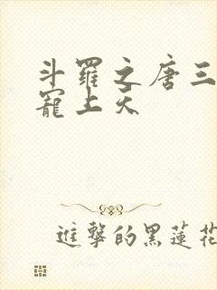 斗罗之唐三哥哥宠上天