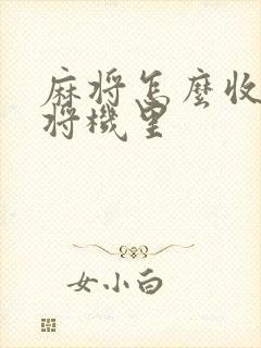 麻将怎么收进麻将机里