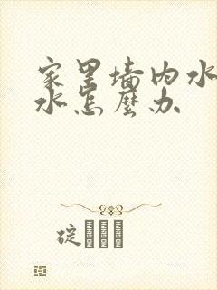 家里墙内水管漏水怎么办