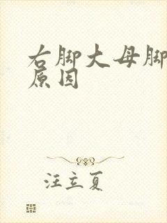 右脚大母脚趾疼原因