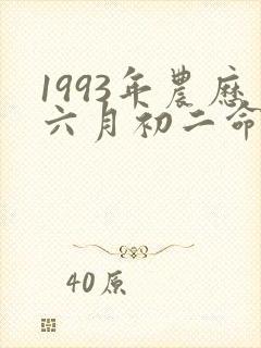 1993年农历六月初二命运