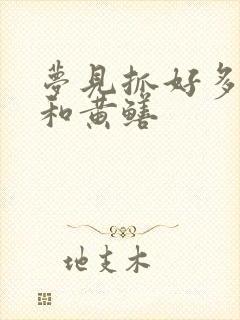 梦见抓好多泥鳅和黄鳝