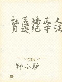 社区矫正人员每月遵纪守法(两篇)