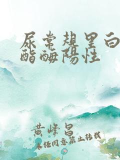 尿常规里白细胞酯酶阳性