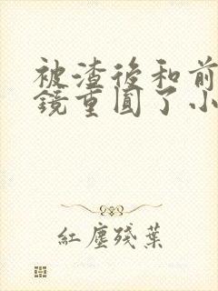 被渣后和前夫破镜重圆了小说免费阅读