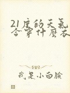 21度的天气适合穿什么衣服