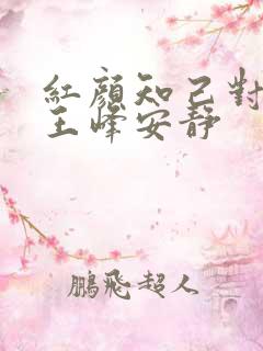 红颜知己对唱版王峰安静