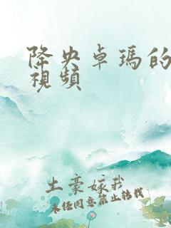 降央卓玛的bb视频