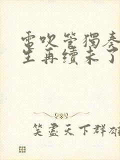 电吹管独奏曲来生再续未了情曲谱