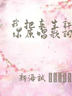 我把来生许给了你原唱歌词
