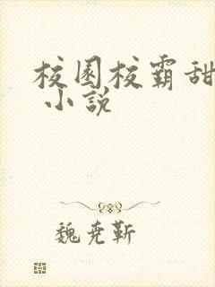 校园校霸甜宠文 小说