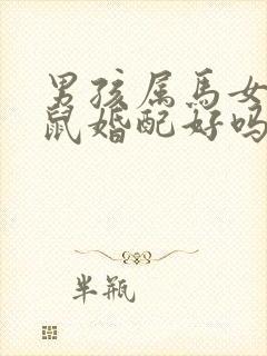 男孩属马女孩属鼠婚配好吗