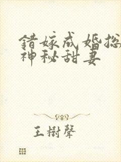 错嫁成婚总裁的神秘甜妻