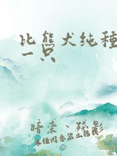 比熊犬纯种价格一只