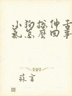 小狗总伸舌头喘气怎么回事