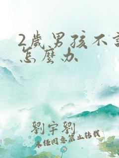 2岁男孩不说话怎么办