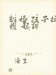 离婚 孩子抚养权 起诉