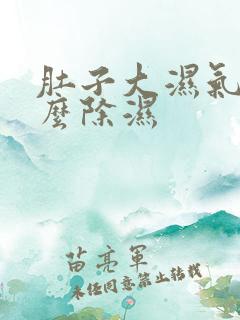 肚子大湿气重怎么除湿