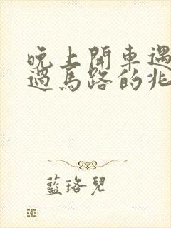 晚上开车遇见蛇过马路的兆头