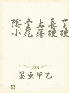 阴囊上长了一个小疙瘩硬硬的