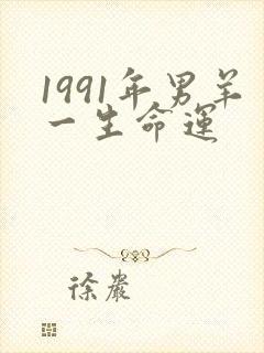 1991年男羊一生命运
