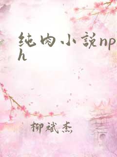 纯肉小说np高h