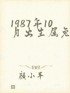 1987年10月出生属兔命运如何