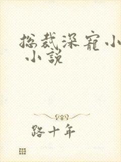 总裁深宠小甜妻 小说