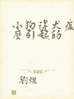 小狗得犬瘟是怎么引起的