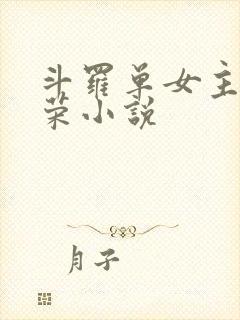斗罗单女主宁荣荣小说