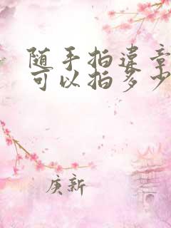 随手拍违章一天可以拍多少