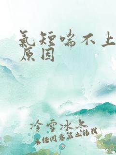 气短喘不上气的原因