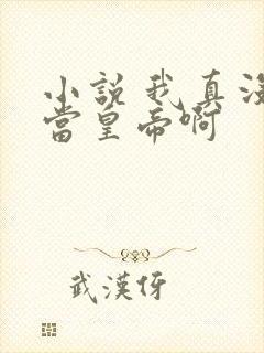 小说 我真没想当皇帝啊