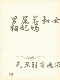 男属羊和女属蛇相配吗