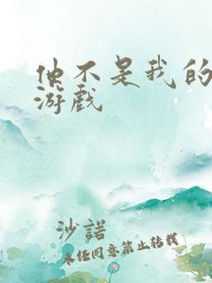 他不是我的邻居游戏