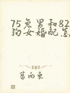 75兔男和82狗女婚配怎么样