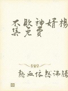 不败神婿杨辰全集免费