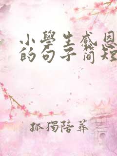 小学生感恩老师的句子简短