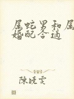 属蛇男和属龙女婚配合适