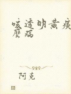 咳透明黄痰是什么病